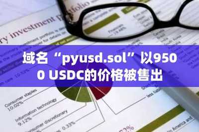 域名pyusd.sol以9500 USDC价格售出，凸显数据处理与存储服务领域增长潜力